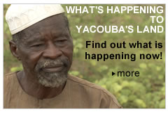 What's happening to Yacouba's land - link to find out more